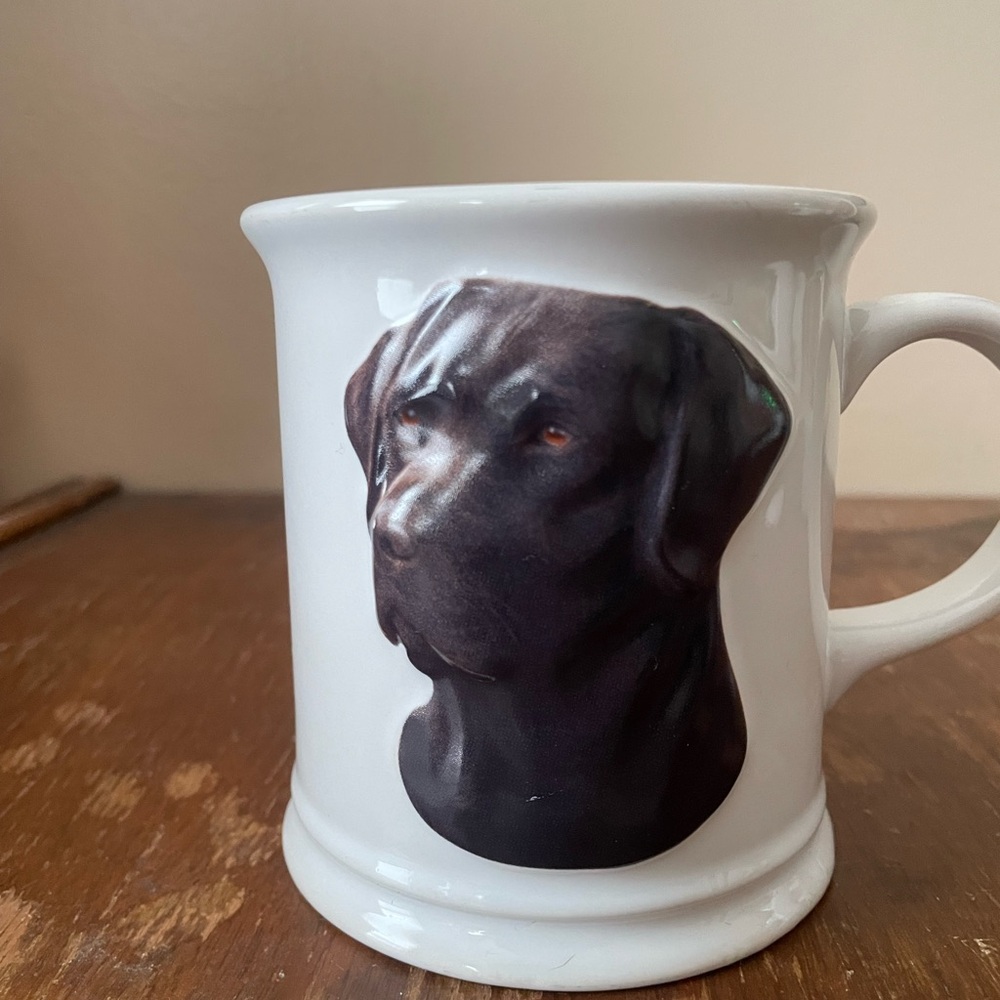 Best friend originals, chocolates lab mug